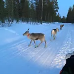 Villa Naava Lukkarinsaari