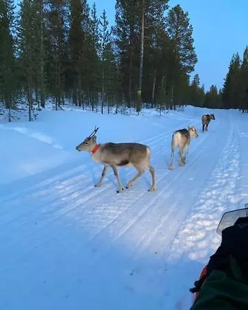 别墅 Naava Lukkarinsaari