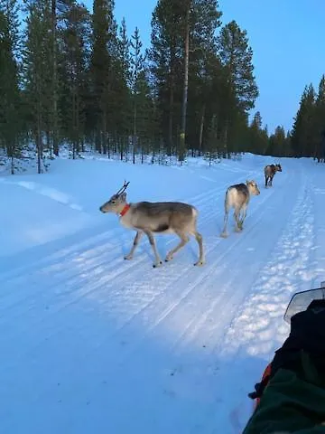Villa Naava Lukkarinsaari